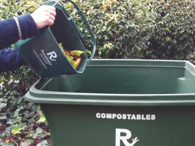 Compost: Easy and Odor Free Image