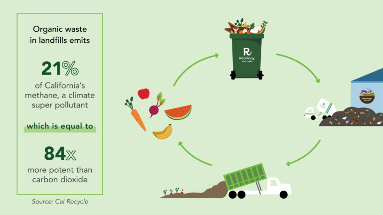 Public Health and Environmental Impacts Associated With Landfill Disposal of Organic Waste Image